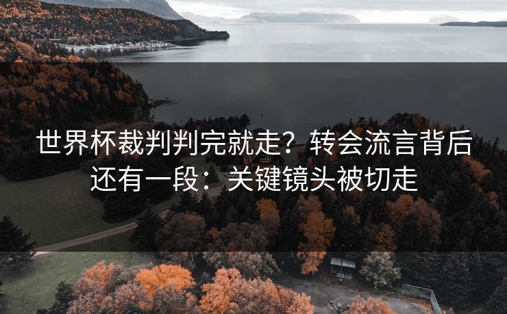 世界杯裁判判完就走？转会流言背后还有一段：关键镜头被切走