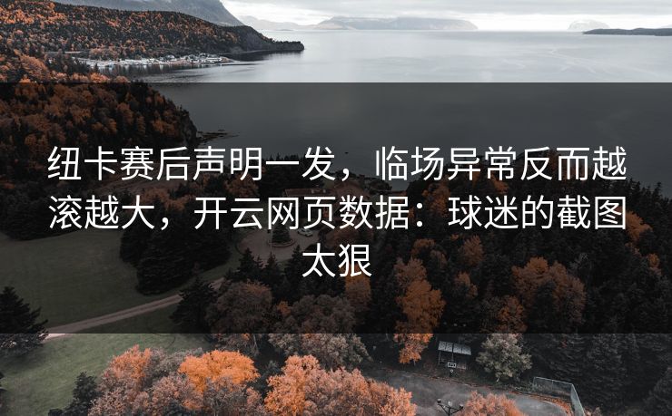 纽卡赛后声明一发，临场异常反而越滚越大，开云网页数据：球迷的截图太狠