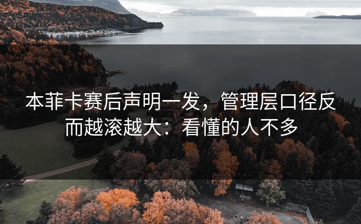 本菲卡赛后声明一发，管理层口径反而越滚越大：看懂的人不多