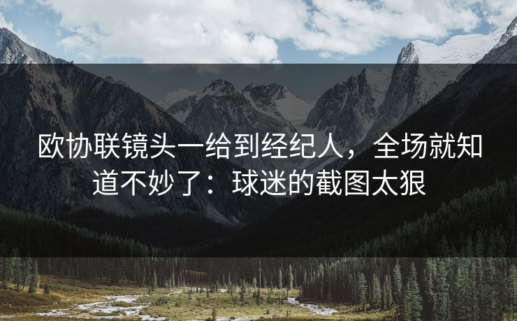 欧协联镜头一给到经纪人，全场就知道不妙了：球迷的截图太狠