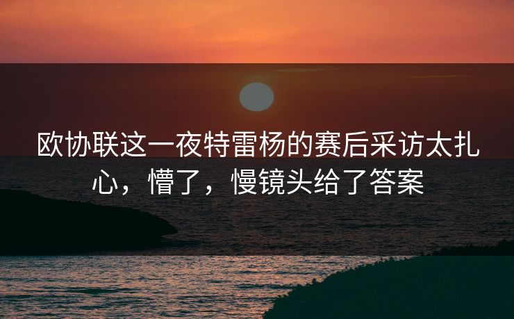 欧协联这一夜特雷杨的赛后采访太扎心，懵了，慢镜头给了答案